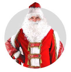 Новогодние <br>костюмы