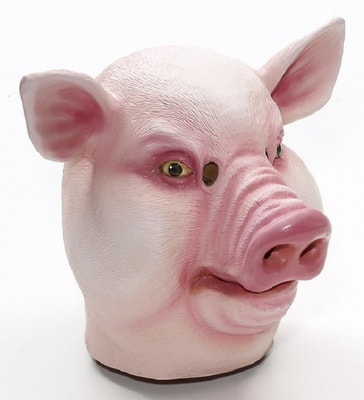 Маска поросенка Фото Фото Маска поросенка