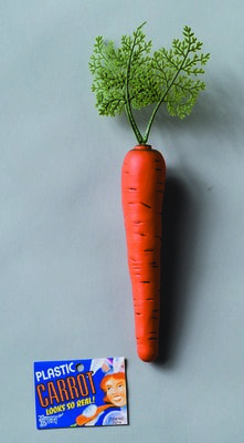Фото Морковь для кролика пластиковая Forum