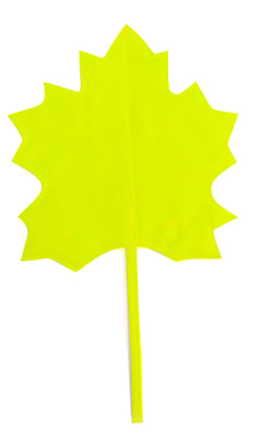 Фото Осенний листок кленовый желтый