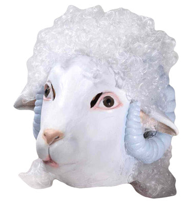 ���� ����� ����