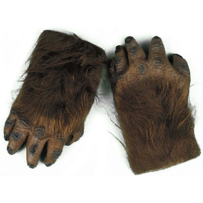 ���� �������� ��������