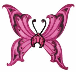 Фото Розовые крылья бабочки