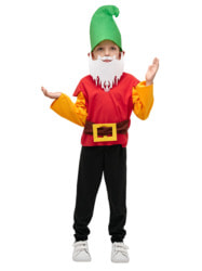 Фото Карнавальный костюм гномика для мальчика