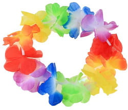 Фото Гавайский венок Остров разноцветный