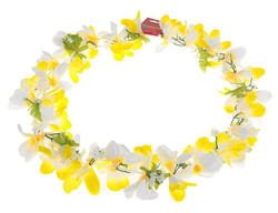 Фото Гавайское ожерелье Ромашки бело-желтое