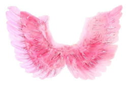 Фото Крылья ангела розовые с блестками