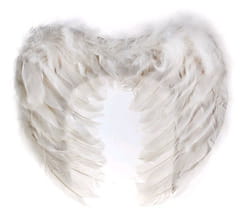 Фото Крылья ангела белые