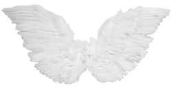 Фото Белые крылья ангела (30х45 см)