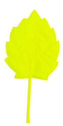 Фото Осенний листок березовый желтый