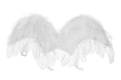 Фото Крылья для ангела белые